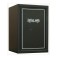 Coffre armes de poing Delta 2