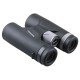 PARAGON 8X42