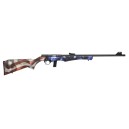 CARABINE 8122 22LR USA