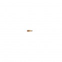 Berger .243 68 grains