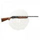 Poenix Hunter