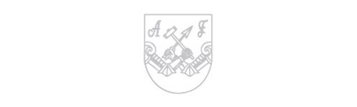 ARSENAL FIREARMS