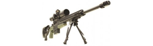 CARABINES GROS CALIBRES